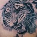 Tattoos -  - 38951