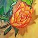 Tattoos - Flowers Butterflies - 31860