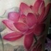 Tattoos -  - 42631