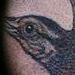 Tattoos - Flying Bird Tattoo - 67664