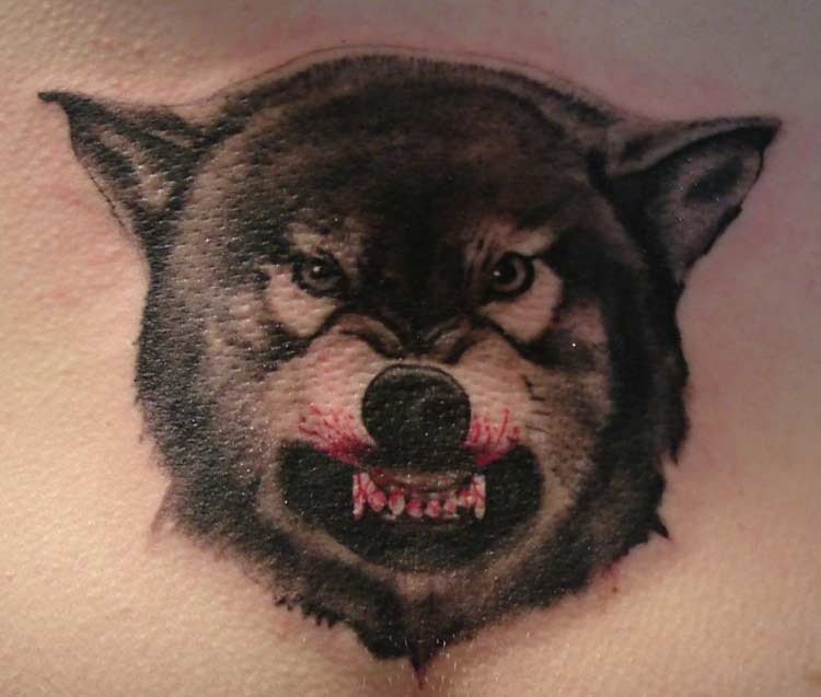 Monumental Ink on Twitter Awesome black and grey Wolf tattoo by Shell   To see more of Shells work or to book an appointment follow the link    httpstcozZ3w6CnQZ9 Artist Shell