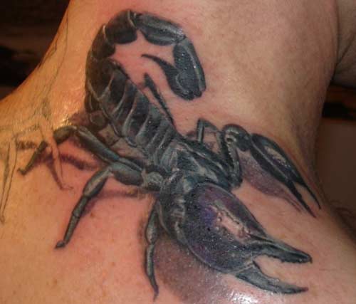 Tattoos - Black scorpian tattoo - 25456
