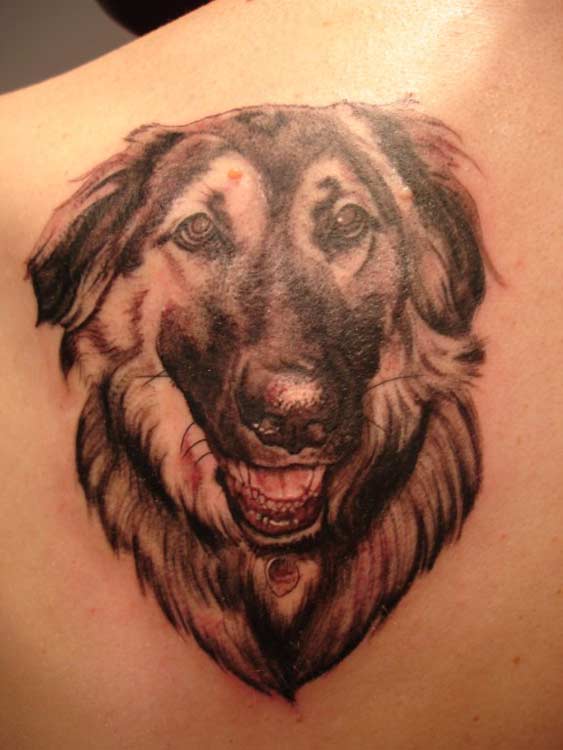 Realistic dog portrait tattoo by Christopher Allen: TattooNOW