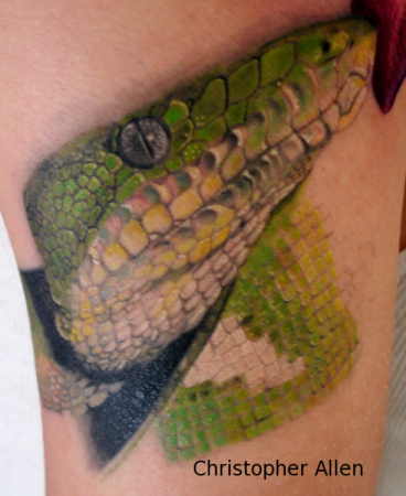 Tattoos - Emerald Tree Boa Snake Tattoo - 27001
