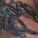 Tattoos - Black scorpian tattoo - 25456