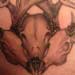 Tattoos - Deer Skull and antlers Tattoo - 25459