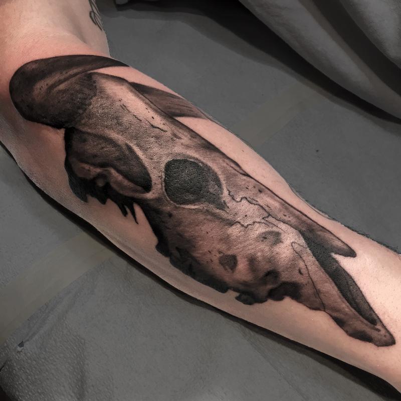 Black and Grey Bull Skull by Eddie Zavala: TattooNOW