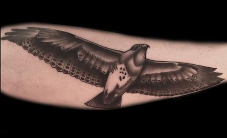 Tattoos - Black and Grey Hawk - 116494