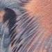 Tattoos - Great blue heron - 83977