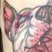 Tattoos - Pitbull perception. - 83979