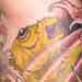 Tattoos - Underwater Koi - 31685