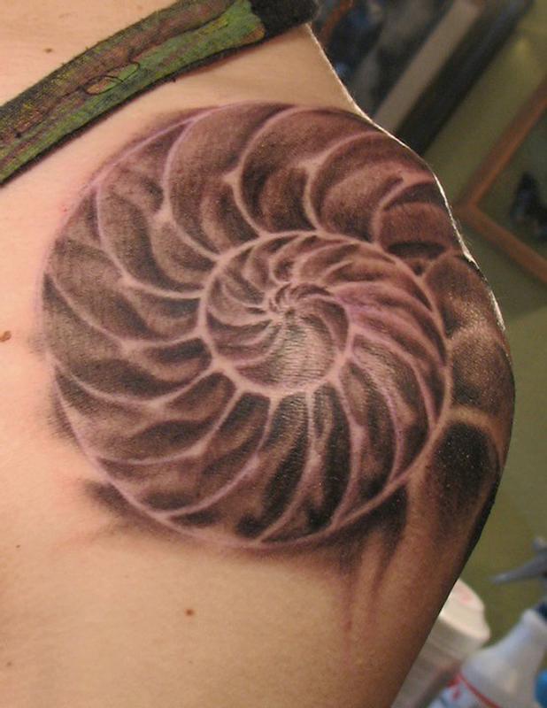Fibonacci sequence with nautilus shell and water color splash by Amanda  Filippetti at Glass Beetle Tattoo in Santa Rosa CA  rtattoos