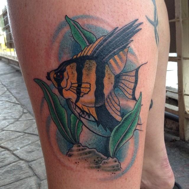 Angel fish by William: TattooNOW