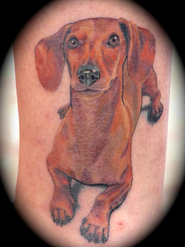 20 Best Wiener Dog Tattoo Designs  The Paws