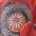 Tattoos - Flower Half Sleeve - 49477