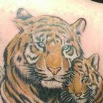 Tattoos - tiger - 123054