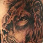 Tattoos - lion - 123064
