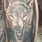 Tattoos - wolf - 123076