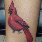 Tattoos - cardinal - 111643