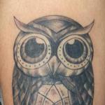 Tattoos - owl - 111681