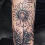 Tattoos - flowers - 116832