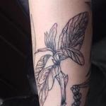 Tattoos - flowers - 116834