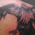 Tattoos - raven - 103959