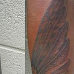 Tattoos - Wing - 129433