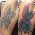 Tattoos - Parrot Rehab - 123036