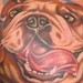 Tattoos - Bulldog Tattoo - 48832