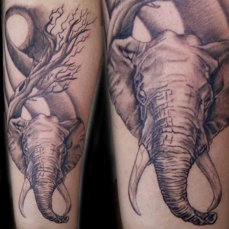 33 Elegant Elephant Tattoo Ideas for Men & Women in 2023