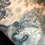 Tattoos - Animal leg sleeve - 125218