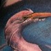 Tattoos -  - 38663