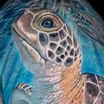 Tattoos - Color Sea Turtle Tattoo - 141415
