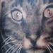 Tattoos - Cat Portrait Tattoo - 67248