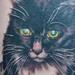 Tattoos - Cat Portrait Black and Grey Tattoo - 71818