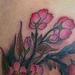 Tattoos - Cherry Blossoms on Shoulder - 77000