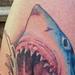 Tattoos - Shark Tattoo - 68261