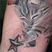 Tattoos - Kitty Star - 33811