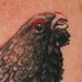 Tattoos - Turkey Tattoo - 50309