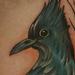 Tattoos - Stellar Blue Jay - 79426