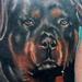 Tattoos - Dog Memorial  - 82295
