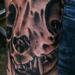 Tattoos - Cat Skull - 74776