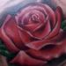 Tattoos - Rose on Shoulder - 74772