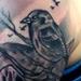 Tattoos - Oregon Coast  - 65204