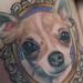 Tattoos - Cute Chihuahua in a frame.  - 74120