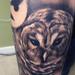 Tattoos - Bard Owl - 80772