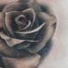 Tattoos - two of three roses - 82837