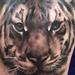 Tattoos - tiger head! Attack! - 89211