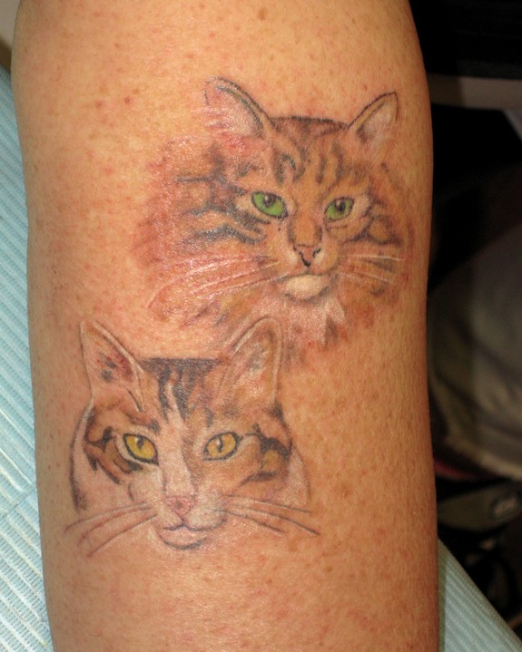 Share 81 memorial tattoos for cats latest  thtantai2